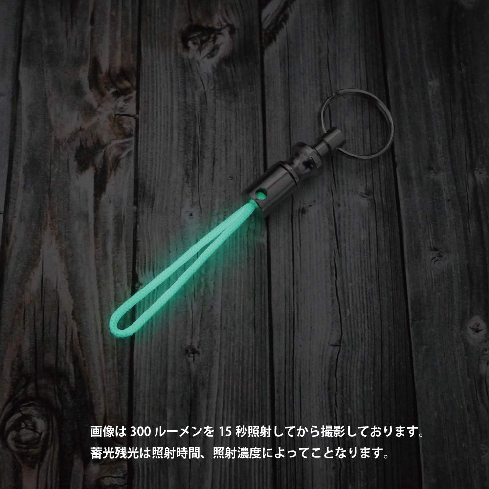 INSTINCTOY LIQUID 蓄光 キーホルダー ストラップ Amazon.co.jp: 蓄光するストラップ ドッキング キーホルダー EDC